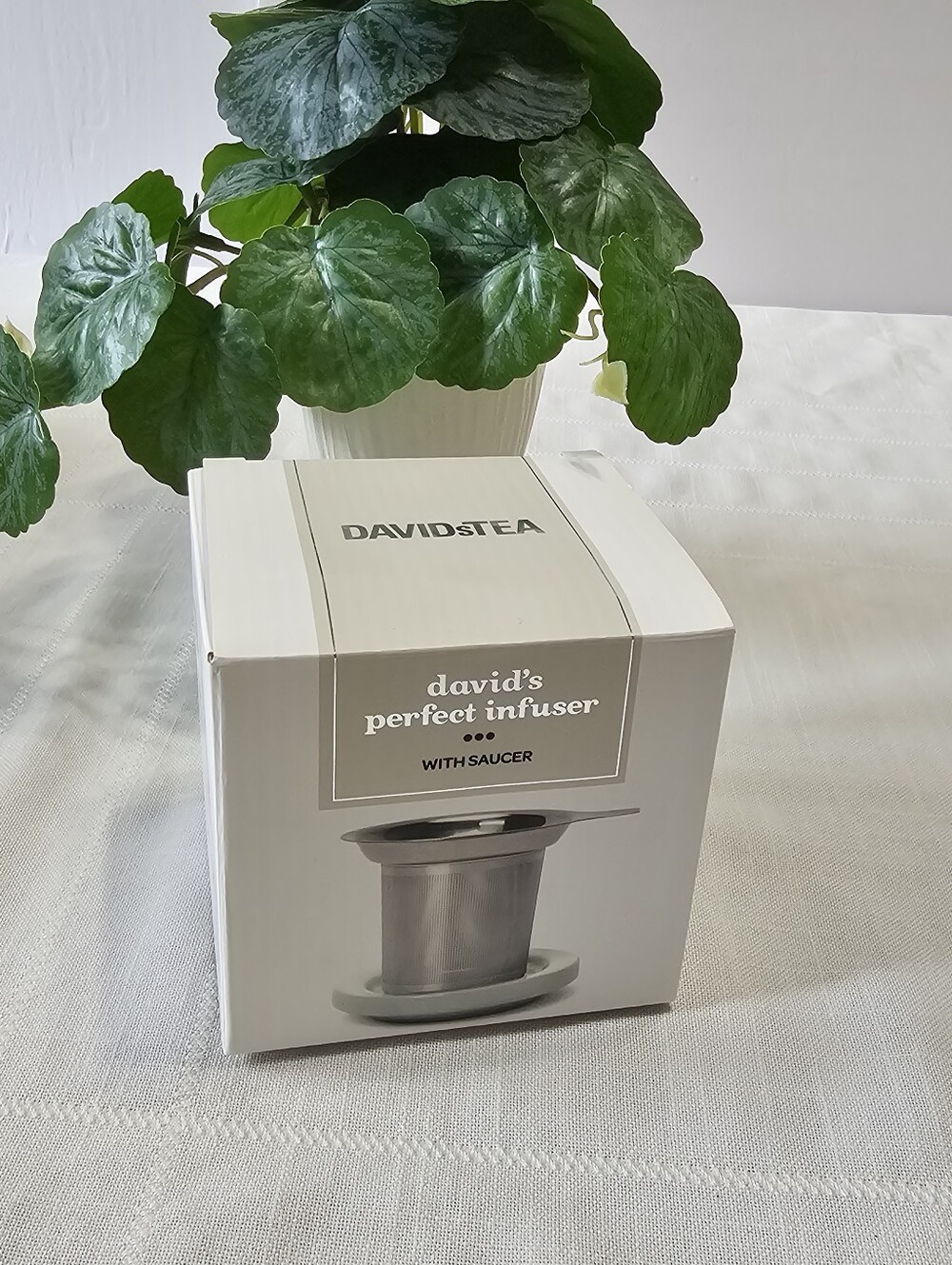 New DAVIDsTEA David's Perfect Infuser with Saucer